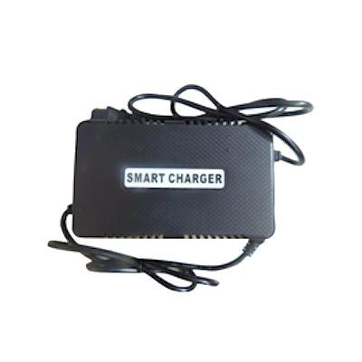Charger 48 Volt Lead Acid Battery Standard Polarity