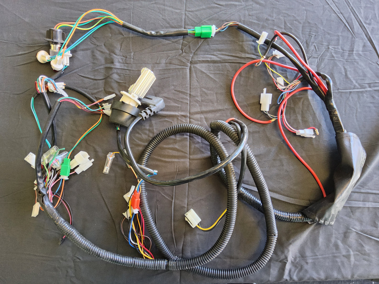 E-Bike Pros Gemini Wiring Harness Complete with Light Bulbs
