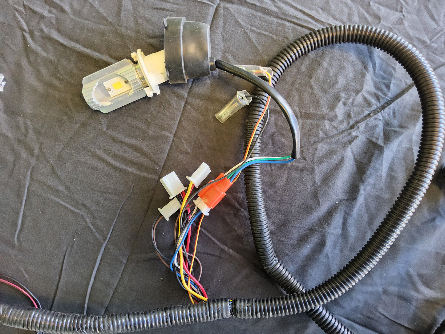 E-Bike Pros Gemini Wiring Harness Complete with Light Bulbs