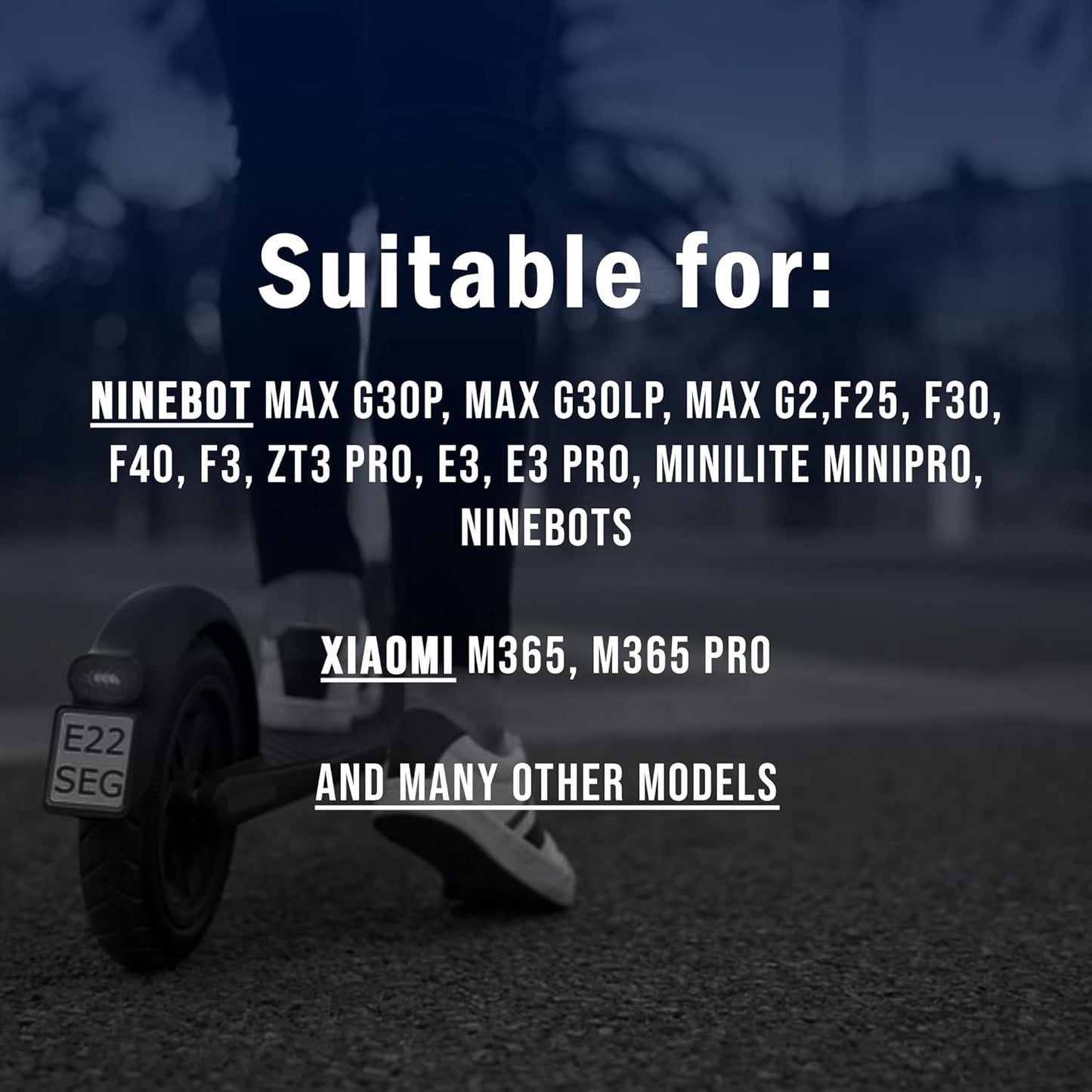 Tire Valve Air Stem For Segway Ninebot (Sold Individually)