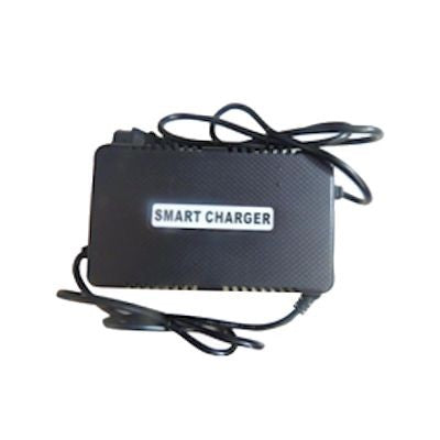 Charger 48 Volt Lead Acid Battery Reverse Polarity