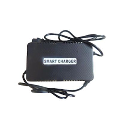 Smart Charger 60 Volt Lead Acid Battery